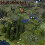 wom_interview2_forest_large
